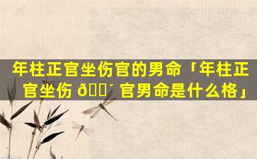 年柱正官坐伤官的男命「年柱正官坐伤 🌴 官男命是什么格」